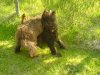 Akilles and Ludde playing in Sweden